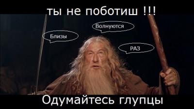 2153080.jpg