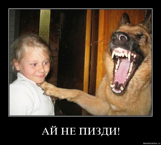 демотиваторы-песочница-удалённое-204045.jpeg
